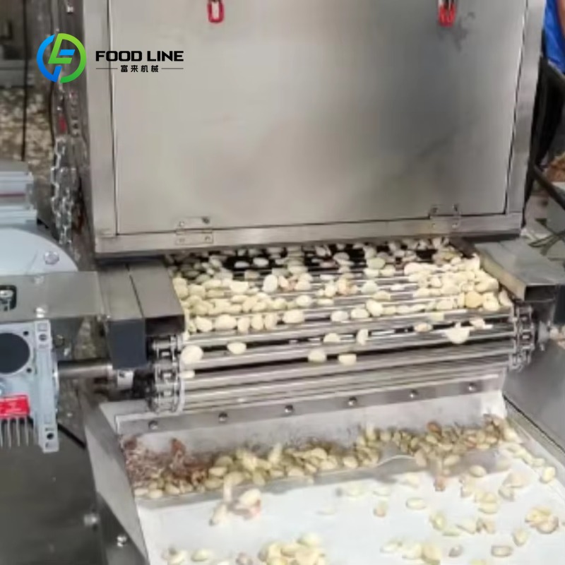 Agriculture Farming Process - Garlic Peeling Machine 6gqp-0.4 Efficient Agricultural