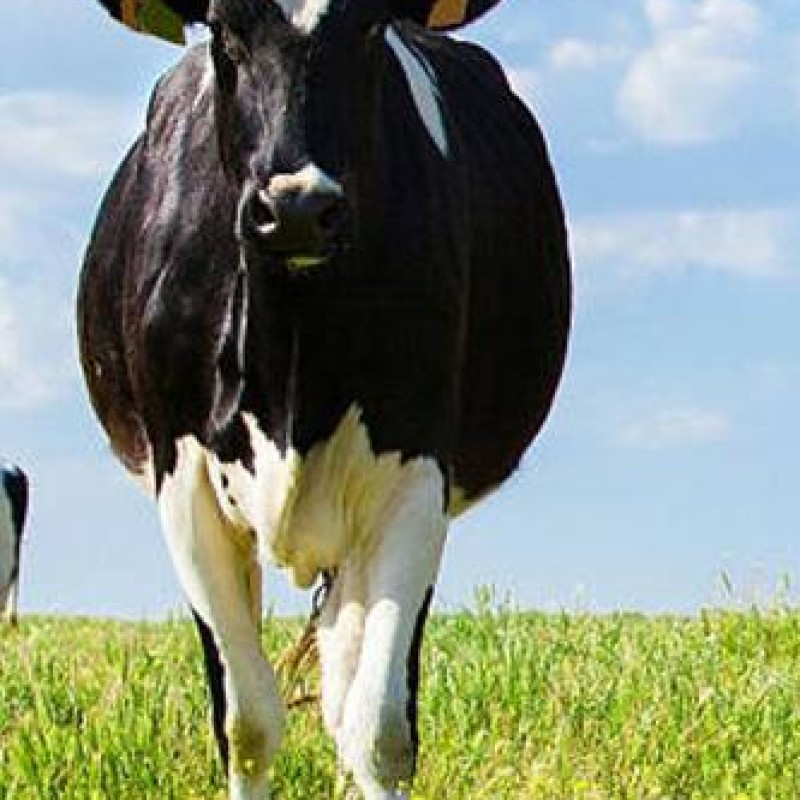 Farming Is Part Of Agriculture - L80 Farm Milker Machine Part Multi