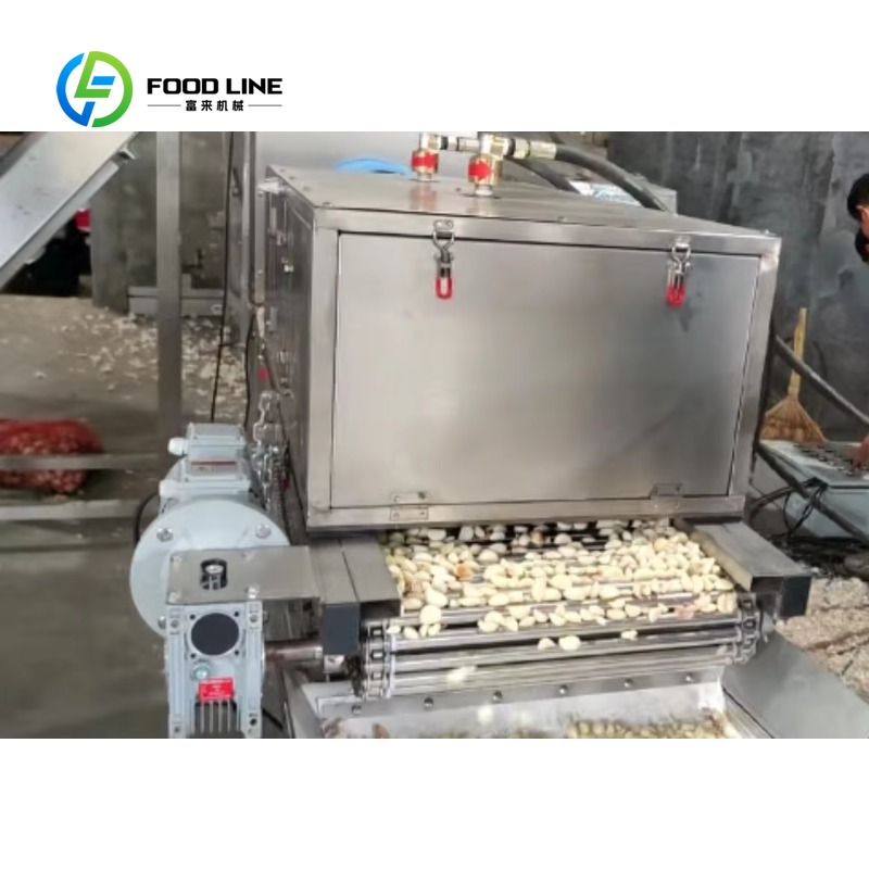 Garlic Peeling Machine 6gqp-0. - огляд і ціна Agriculture Farming Process