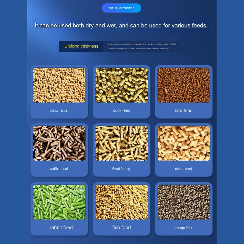 New Chicken Farm Forage Pellet - огляд і ціна Agriculture Farming Process