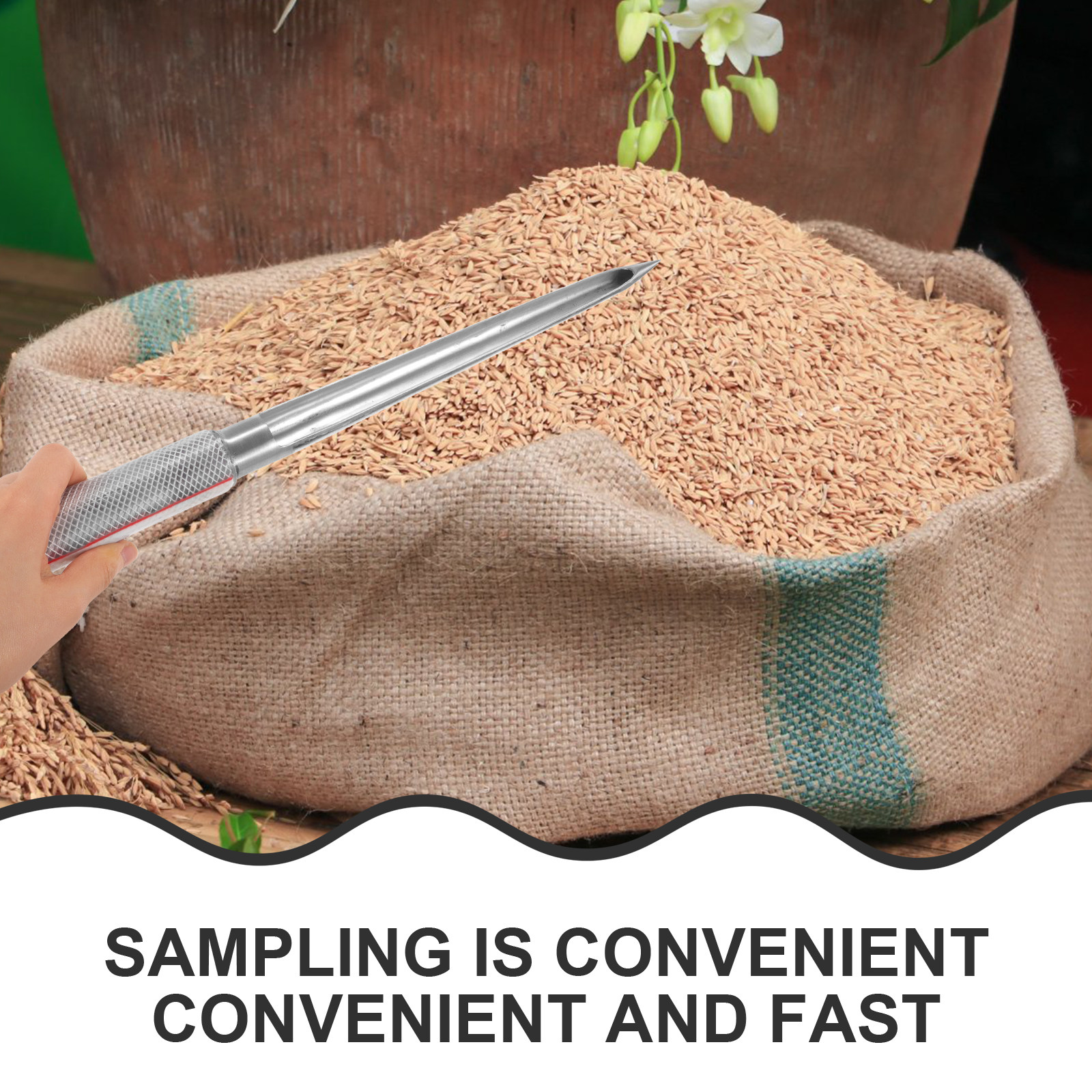 Portable Grain Sampler Stainle - огляд і ціна Agriculture Farming Process