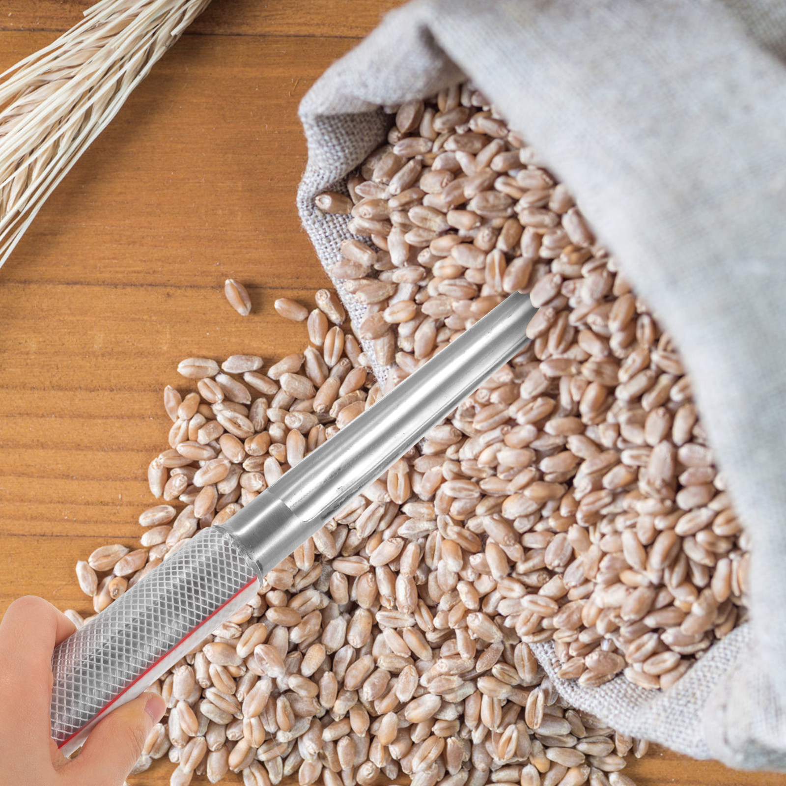 Portable Grain Sampler Stainle - огляд і ціна Agriculture Farming Process
