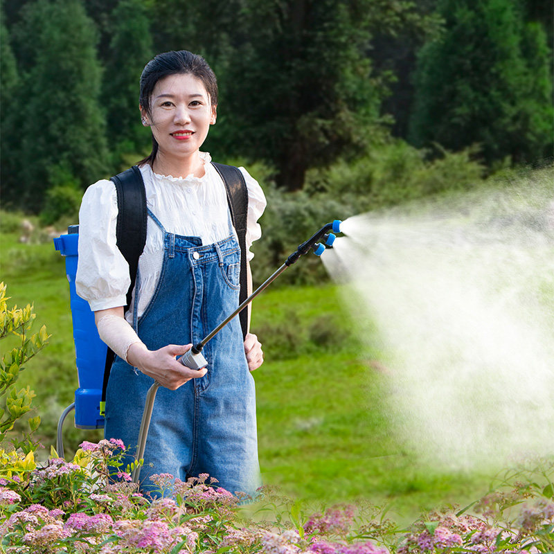 Disinfection Sprayer with Back - огляд і ціна Crop Sprayer Backpack