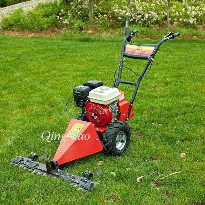 6.5Hp Four Stroke Wheeled Gras - огляд і ціна Agriculture Farming Job